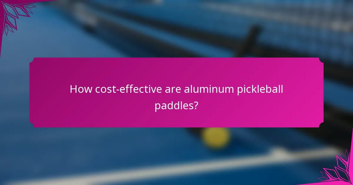 How cost-effective are aluminum pickleball paddles?