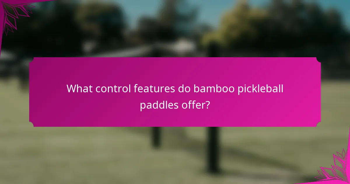 What control features do bamboo pickleball paddles offer?